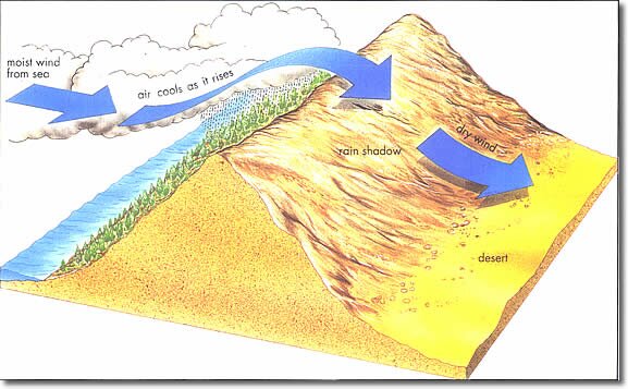 Desert Formation in the Southwest